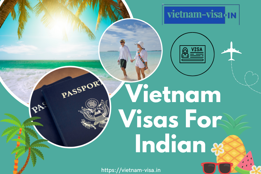 Step-by-Step Guide to Applying for Vietnam E-Visa for Indians at Tinh Bien Border Gate