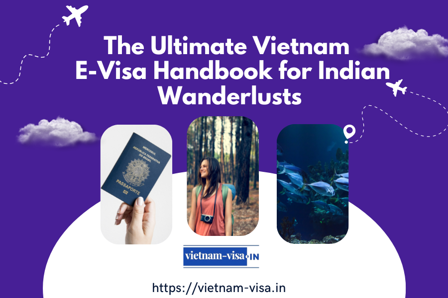 The Ultimate Vietnam E-Visa Handbook