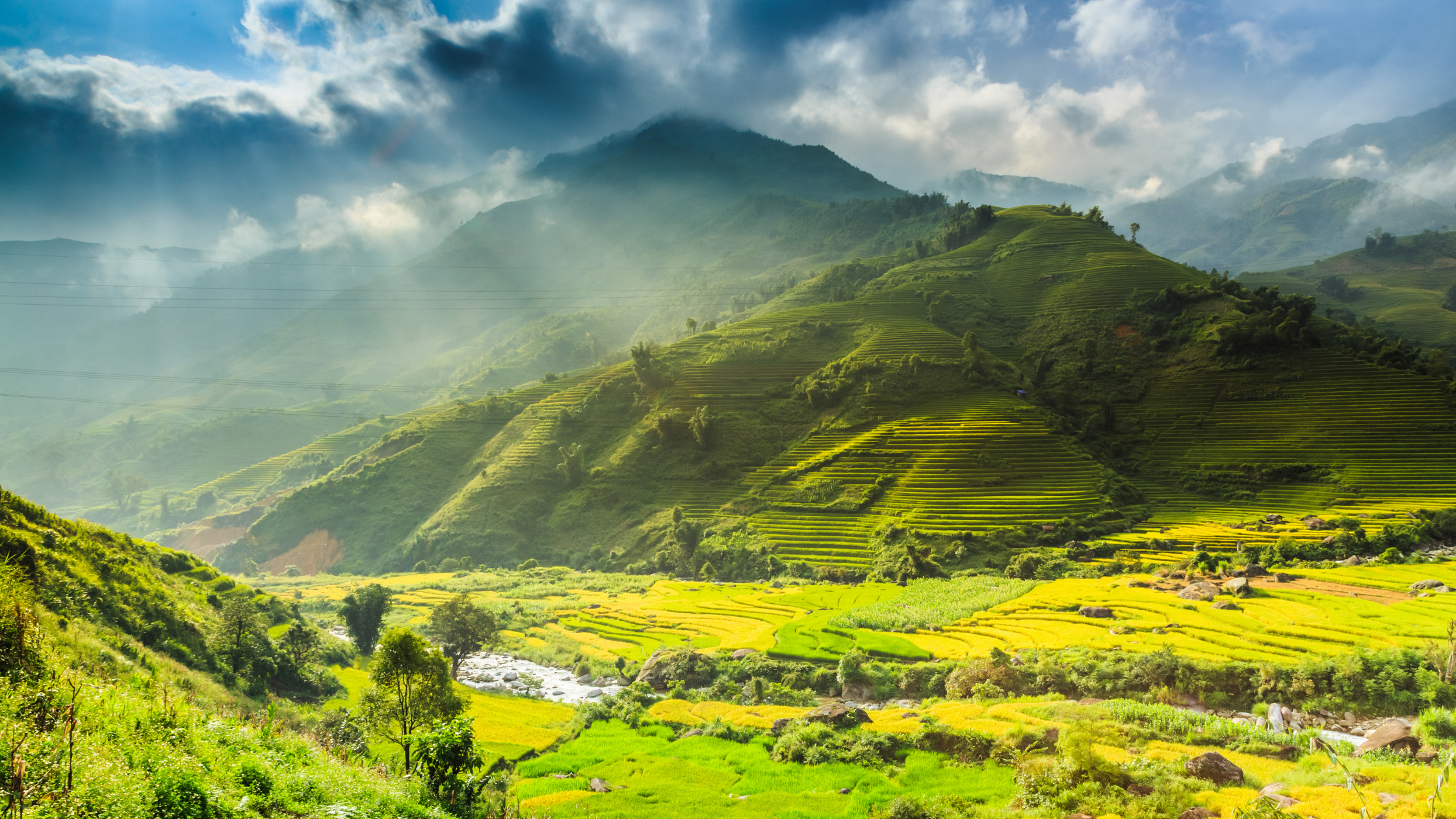 obtaining-a-vietnam-visa-on-arrival-voa-for-indian-citizens-living-in-canada-in-2024