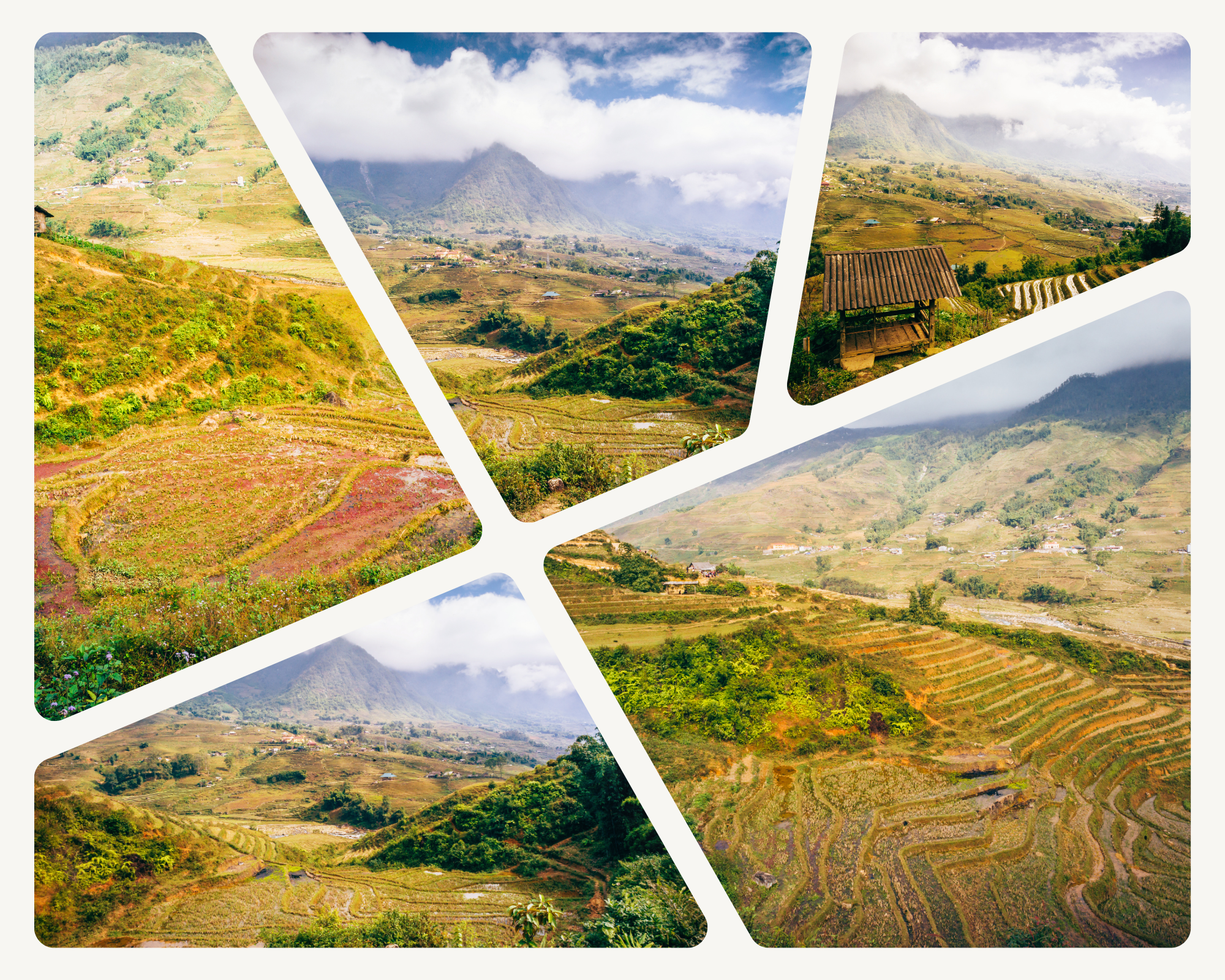 obtaining-a-vietnam-visa-on-arrival-voa-for-indian-citizens-living-in-mozambique-in-2024