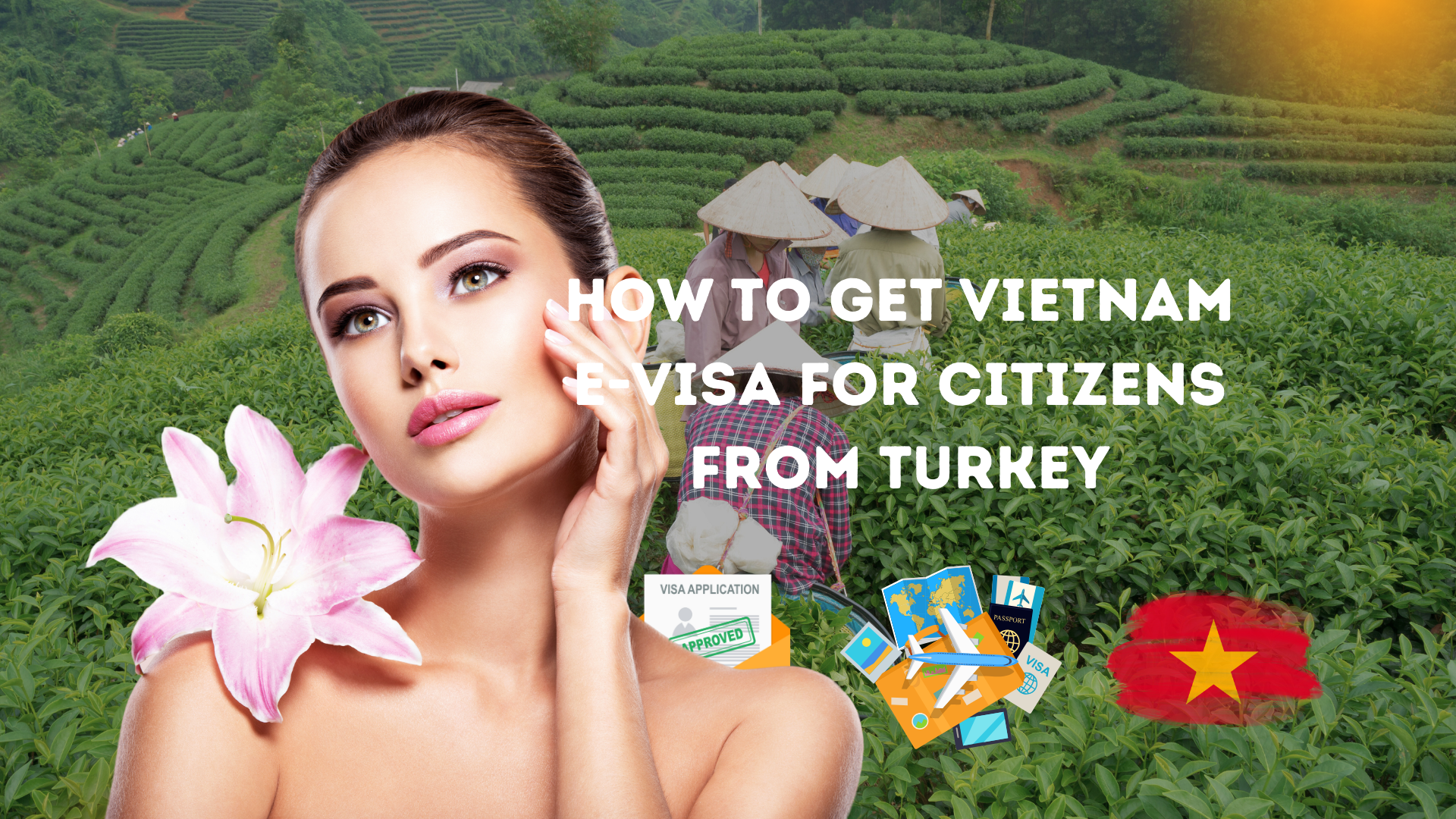 Vietnam Evisa for Citizens from Turkey