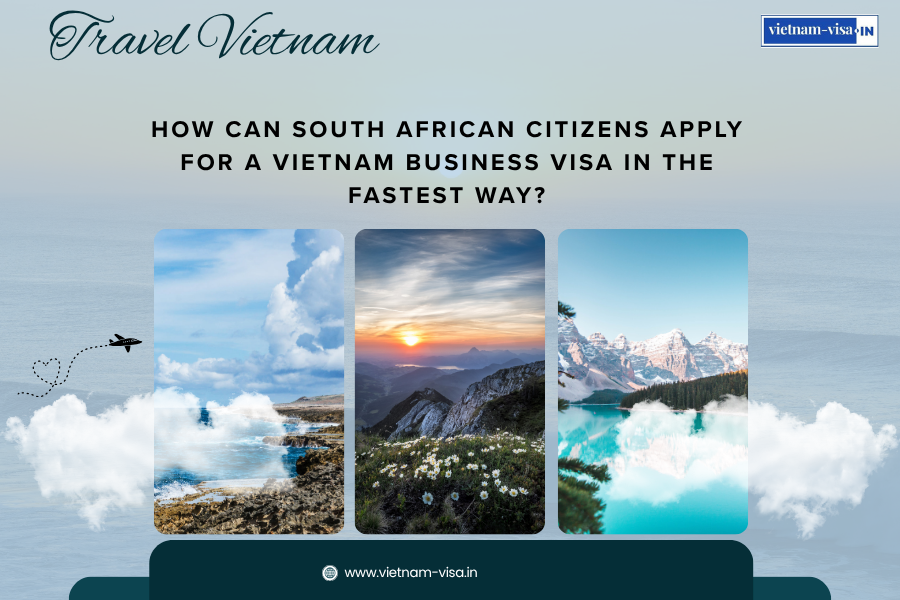 How can South African citizens apply for a Vietnam business visa in the fastest way?