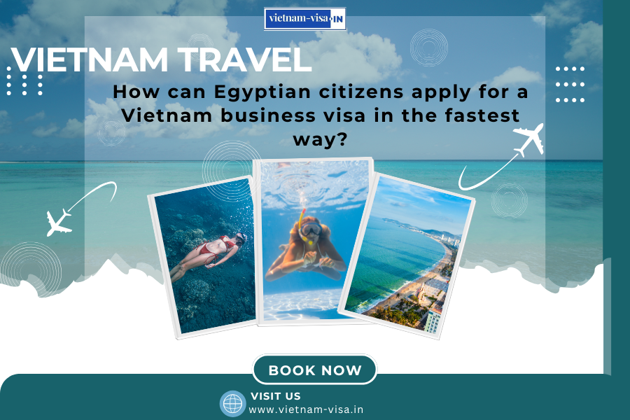How can Egyptian citizens apply for a Vietnam business visa in the fastest way?