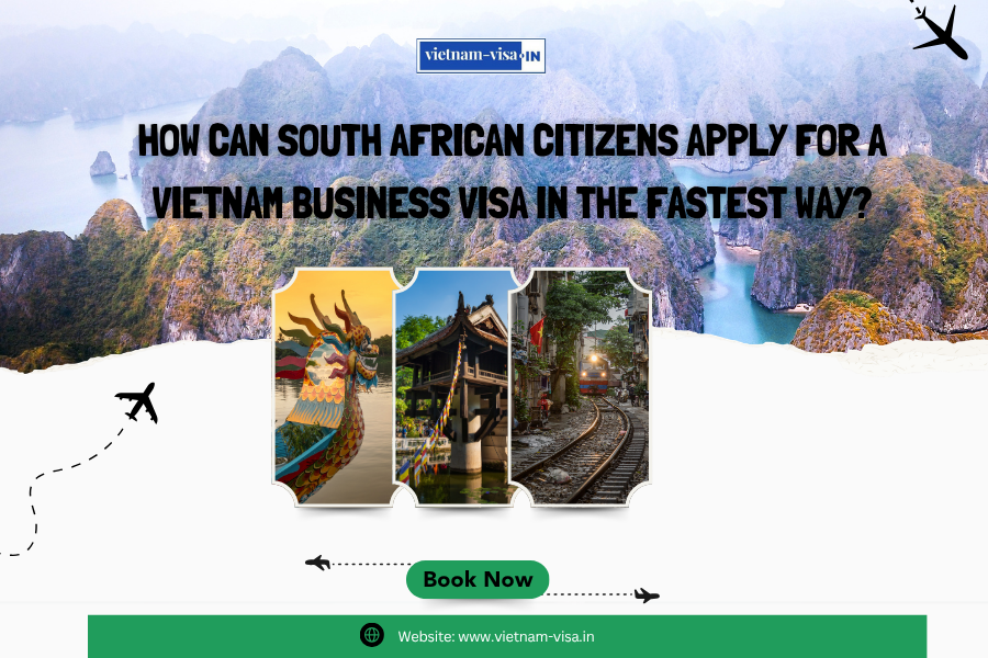 How can South African citizens apply for a Vietnam business visa in the fastest way?